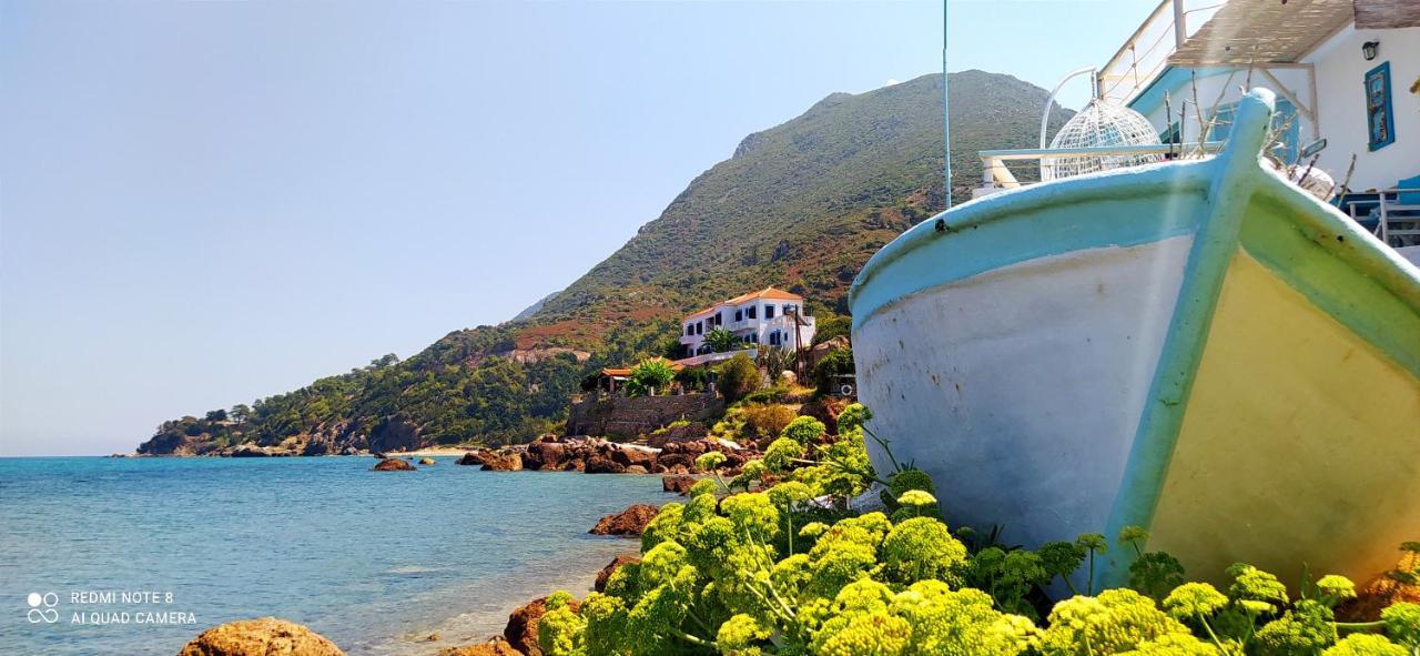 Sea Sound Villa Agios Dimitrios  Экстерьер фото